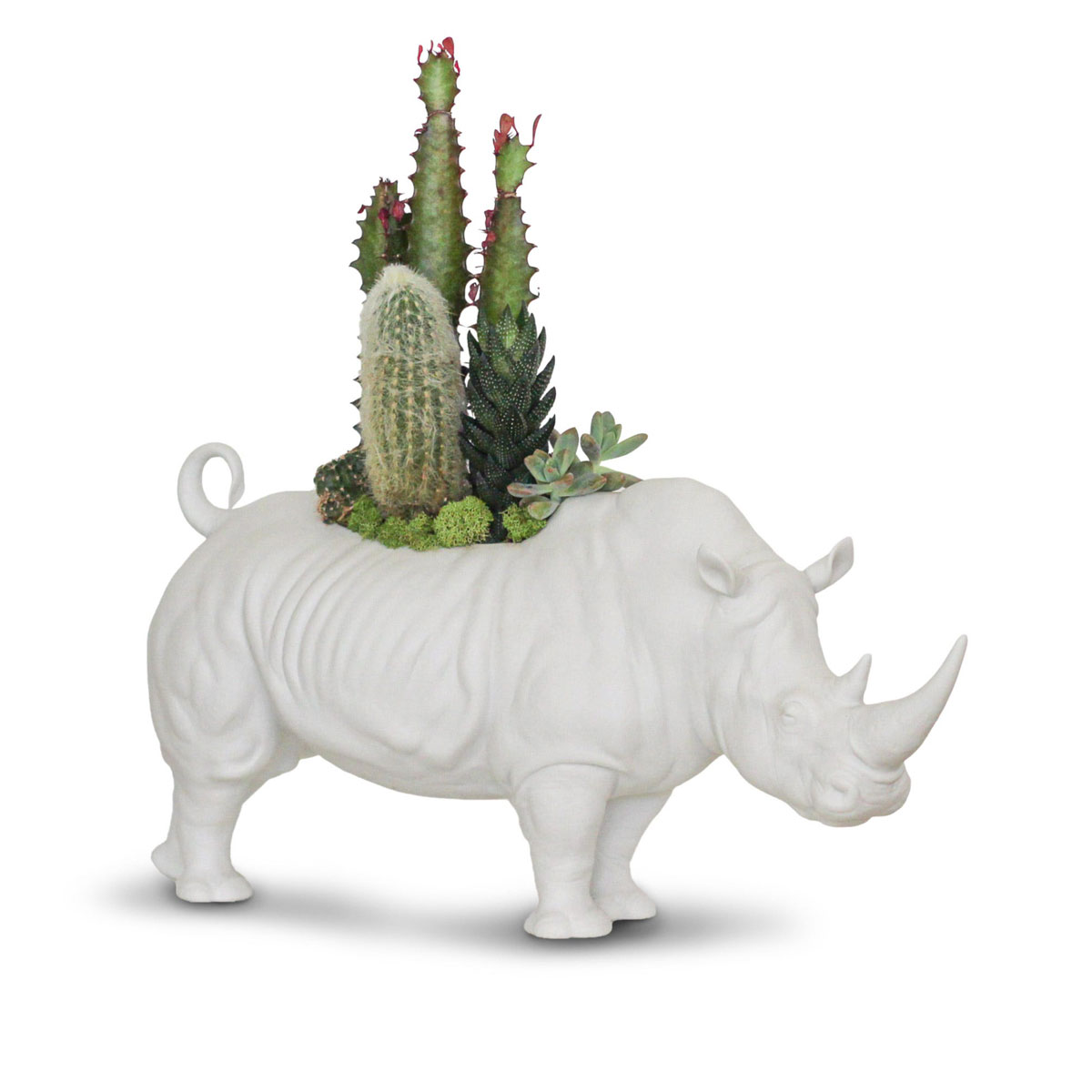 Lladro Design Figures, Rhino Garden Figurine. Matte White, Plant The Future