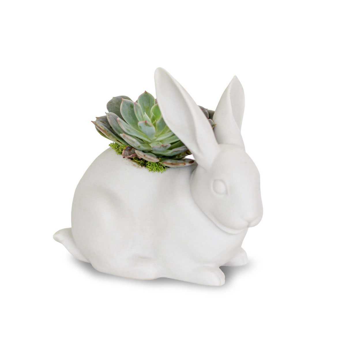 Lladro Design Figures, Bunny Garden Figurine. Matte White. Plant The Future