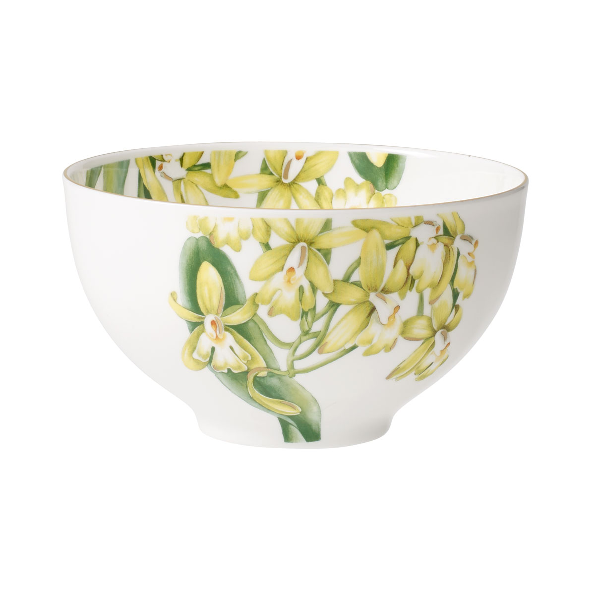 Villeroy and Boch Amazonia Rice Bowl Asia