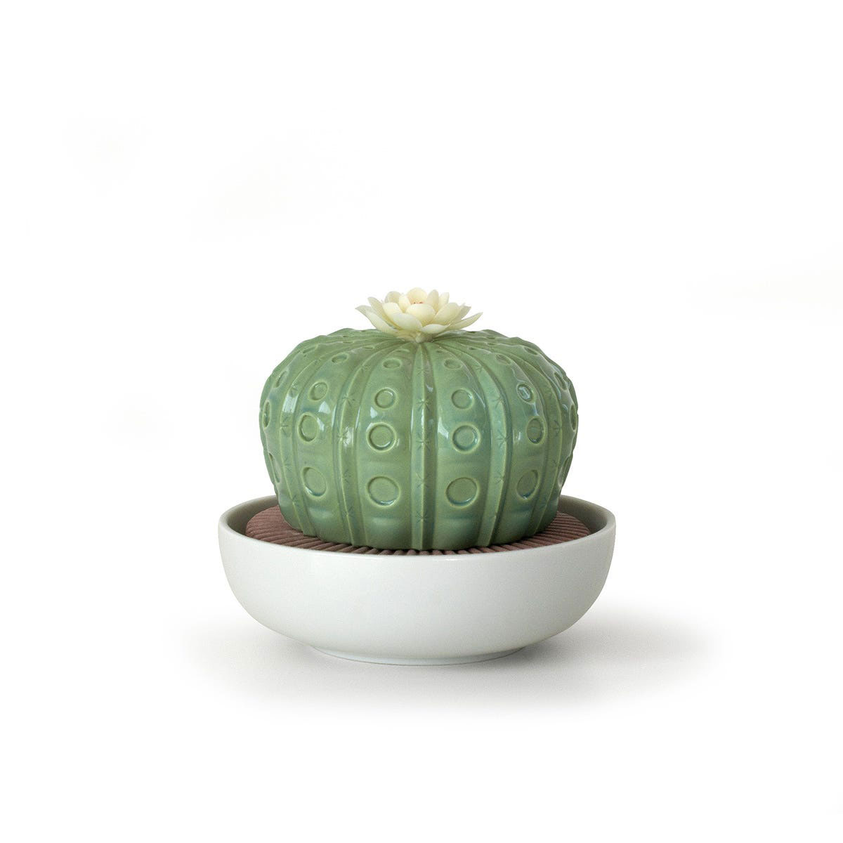 Lladro Light And Fragnance, Astrophytum Cactus Diffuser. Gardens Of Valencia Scent