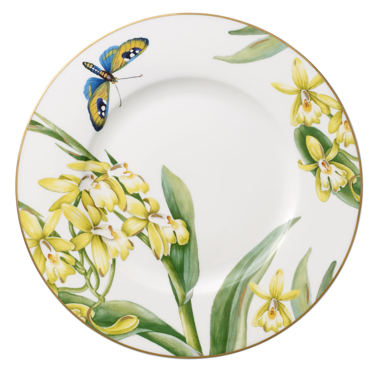 Villeroy and Boch Amazonia Anmut Salad Plate, Single