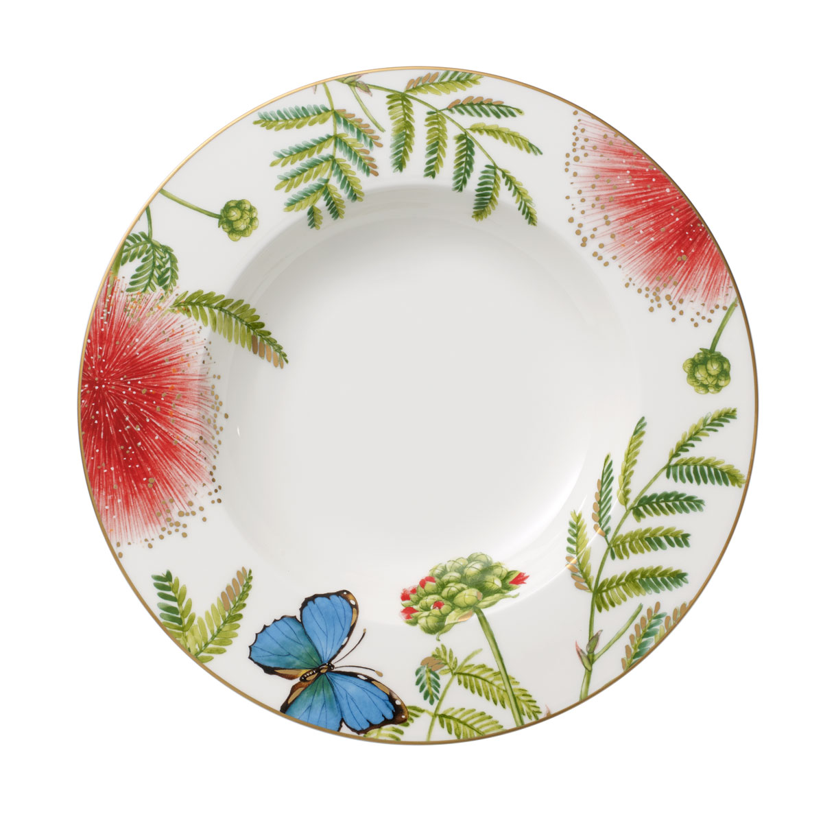 Villeroy and Boch Amazonia Anmut Rim Soup