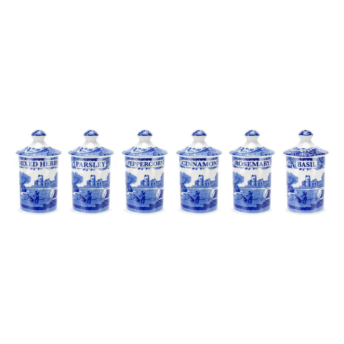 Spode Blue Italian Accessories Spice Jars Set of 6
