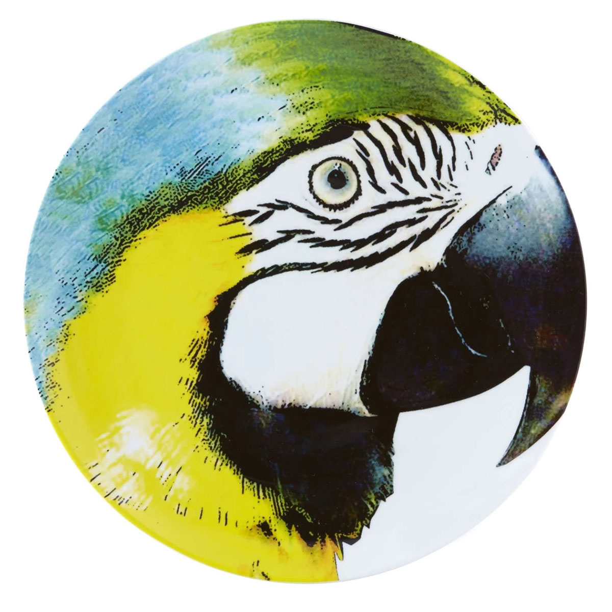 Vista Alegre Porcelain Olhar O Brasil Charger Plate Yellow Bellied Macaw
