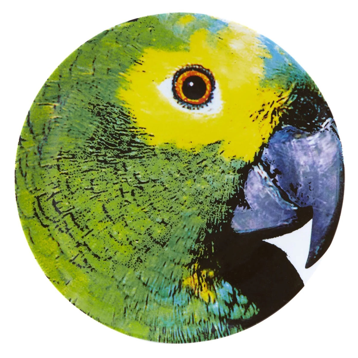 Vista Alegre Porcelain Olhar O Brasil Charger Plate Parrot
