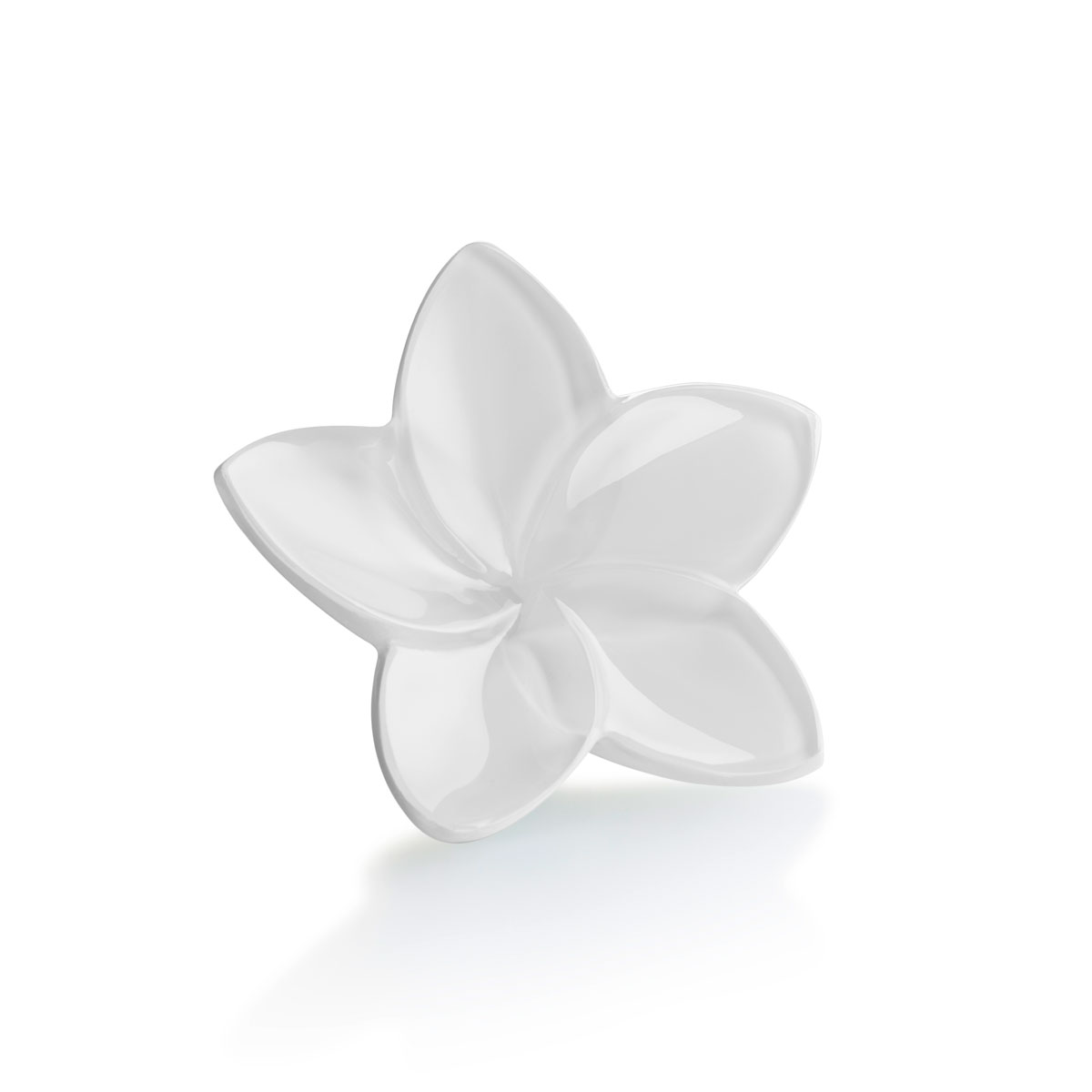 Baccarat Bloom White Flower Sculpture