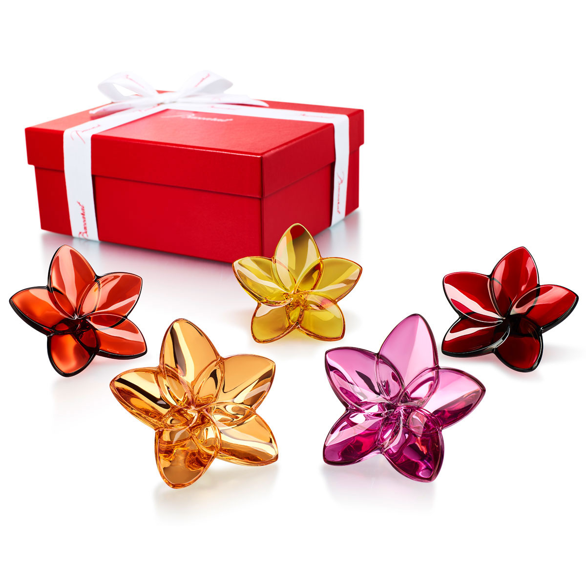 Baccarat The Bloom Collection Flower Power Boxed Set of Five