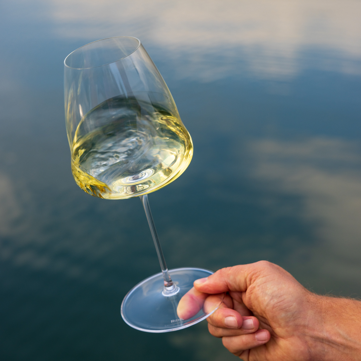 Riedel Winewings Tasting Wine Set (4 glasses) – Graft Collab Store
