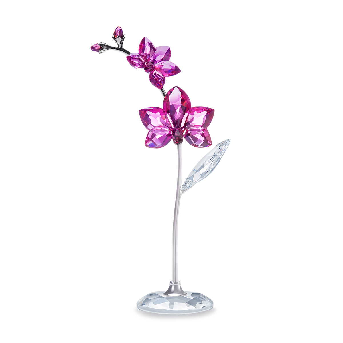Swarovski Large Flower Dreams, Orchid