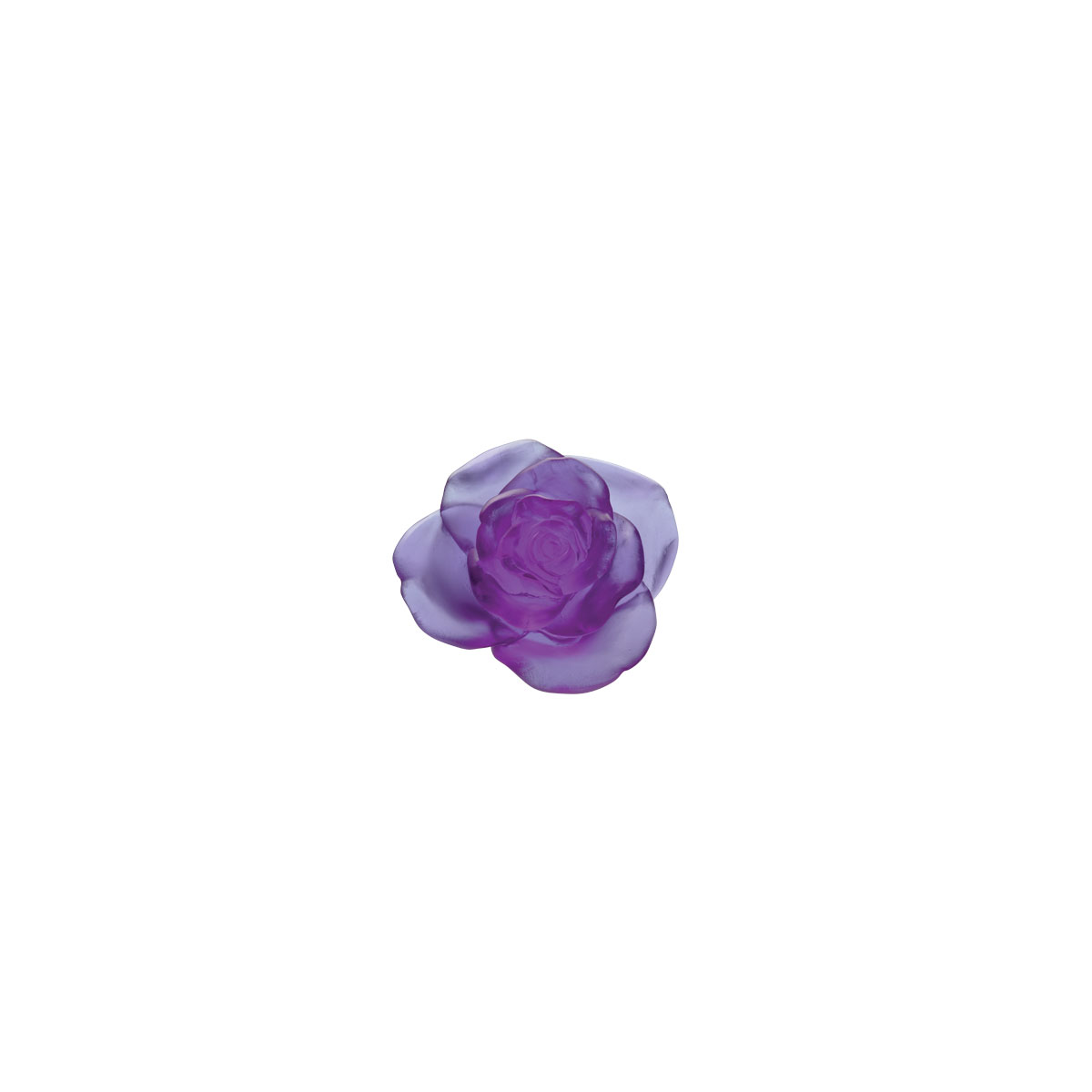 Daum Rose Passion Decorative Flower in Ultraviolet