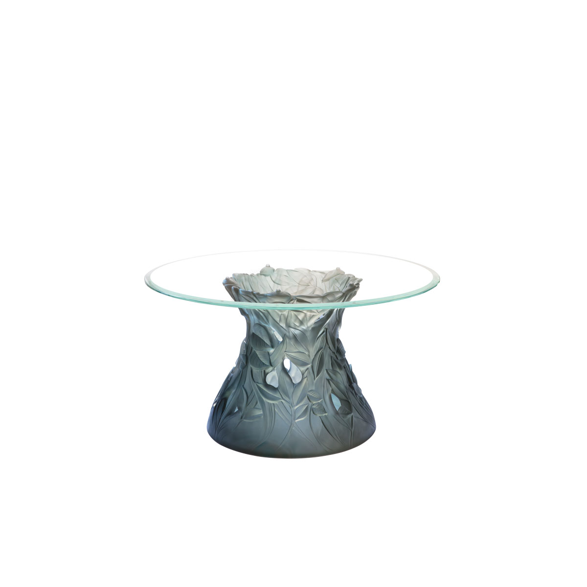 Daum Vegetal Coffee Table in Blue-Grey