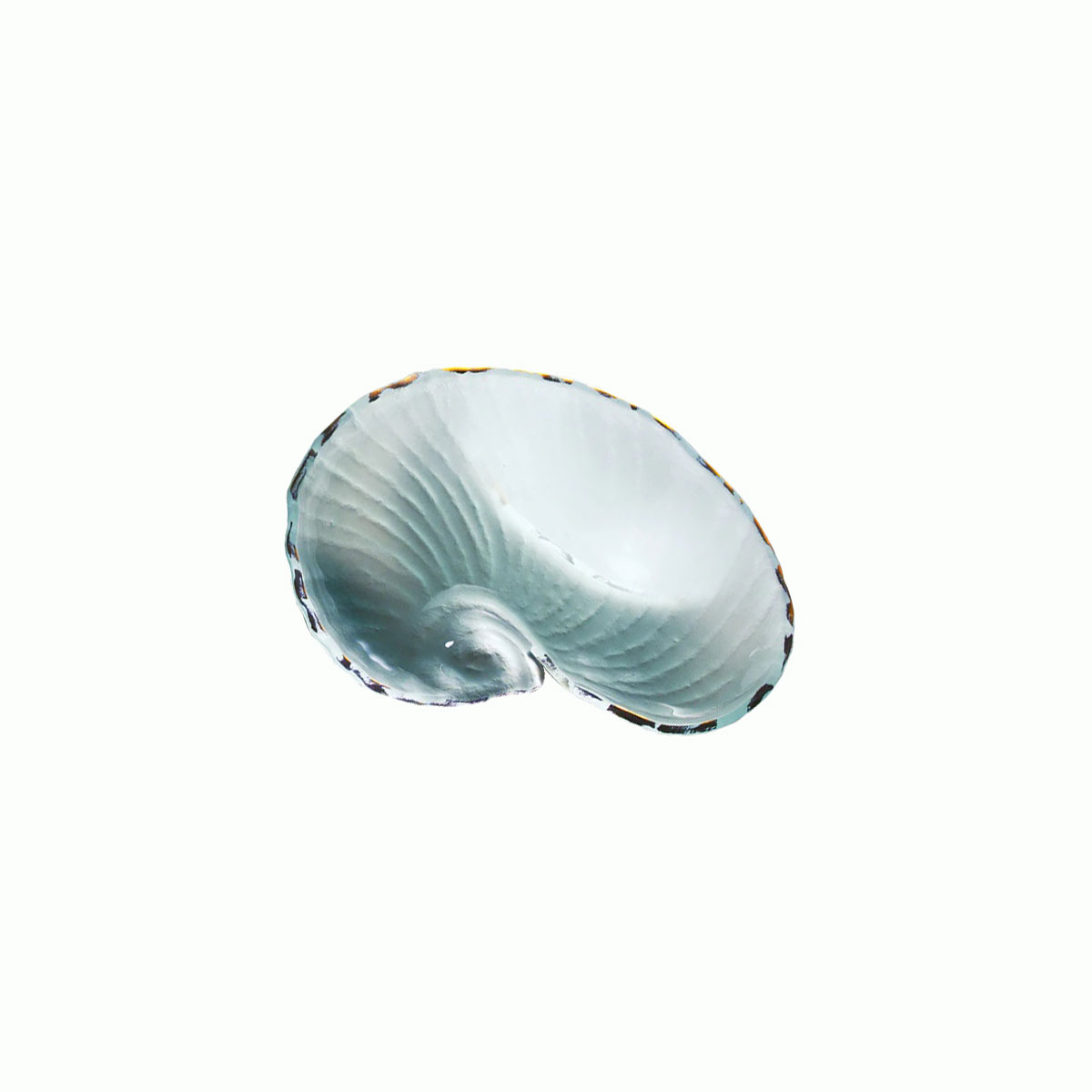 Annieglass Shells 8.5 X 6" Medium Nautilus Gold