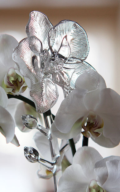 Waterford Crystal Fleurology Orchid Flower