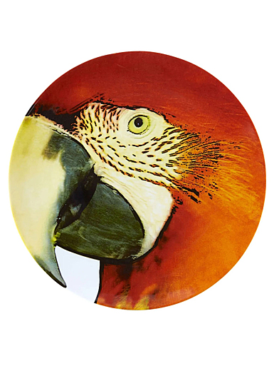 Vista Alegre Porcelain Olhar O Brasil Charger Plate Red Macaw