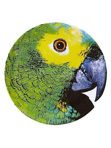 Vista Alegre Porcelain Olhar O Brasil Charger Plate Parrot