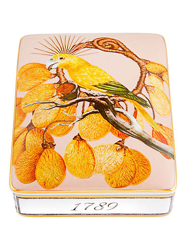 Vista Alegre Porcelain Amazonia Card Box Lighter