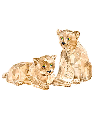 Swarovski SCS Amur Leopard Cubs
