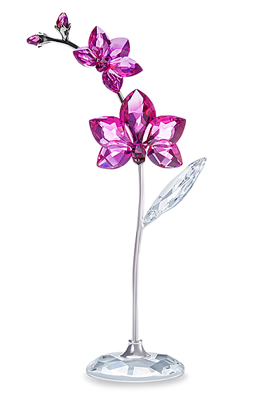 Swarovski Large Flower Dreams, Orchid