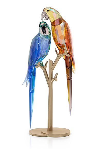 Swarovski Jungle Beats, Parrot Couple