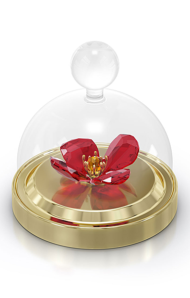 Swarovski Garden Tales Red Poppy Bell Jar, Small