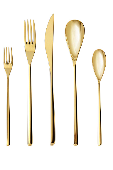Fortessa Stainless Flatware Dragonfly Gold 5 Piece Place Setting