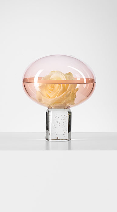 Kosta Boda Lena Bergstrom Roses Rose Globe Misty Pink Limited Edition