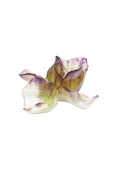 Daum Iris Decorative Flower