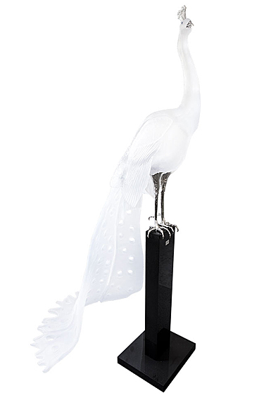 Daum White Peacock by Madeleine van der Knoop, Limited Edition Sculpture