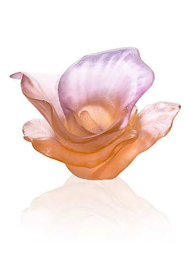 Daum Arum Rose Decorative Flower