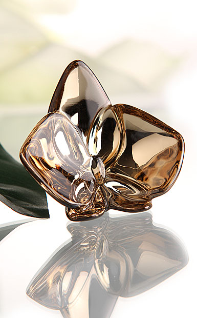 Baccarat Orchidee, Bronze