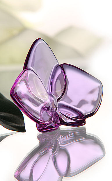 Baccarat Orchidee, Parma Violet