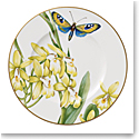 Villeroy and Boch Amazonia Anmut Bread and Butter Plate