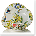 Villeroy and Boch Amazonia Anmut 5 Piece Place Setting