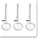 Iittala Clear Apple Ornaments, Set of 3