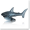 Lalique Large Shark 17" Sculpture Aquatique, Persepolis Blue