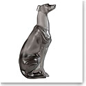 Lalique Greyhound Sculpture, Grey, Limited Edition