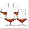 Spiegelau Willsberger 12.9 oz Whiskey Glass Set of 4