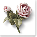 Aerin Porcelain Rose with a Bud, Dusty Pink, Dusty Pink