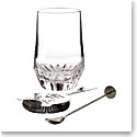 Waterford Crystal Irish Dogs Madra Cocktail Pitcher With Stirrer and Strainer