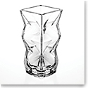Vista Alegre Crystal Fractal Case with Vase