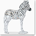 Swarovski Crystal, SCS 2021 Elegance of Africa, Zebra Baby Zuri