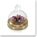 Swarovski Garden Tales, Bell Jar Hibiscus Small