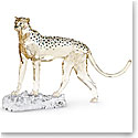 Swarovski SCS 2023 Elegance of Africa, Annual Edition Cheetah