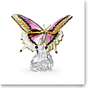 Swarovski Idyllia Butterfly
