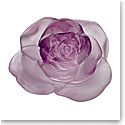 Daum Rose Passion Decorative Flower in Pink