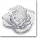 Daum Rose Passion Decorative Flower in White
