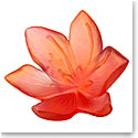 Daum Large Saffron Decorative Flower