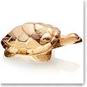 Lalique Gold Lustre Caroline Turtle
