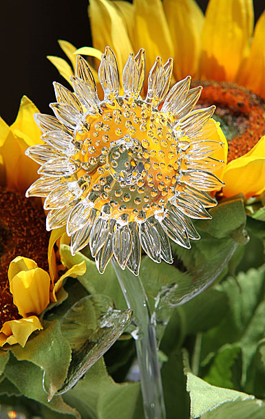 Waterford Crystal Fleurology Sunflower