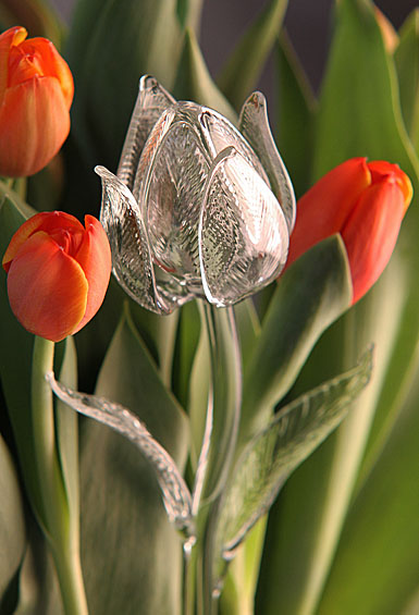Waterford Crystal Fleurology Tulip